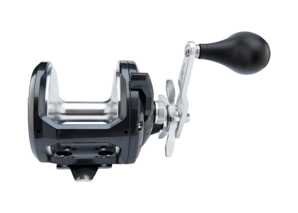 Shimano Torium A Reel - Eprofishing Egypt