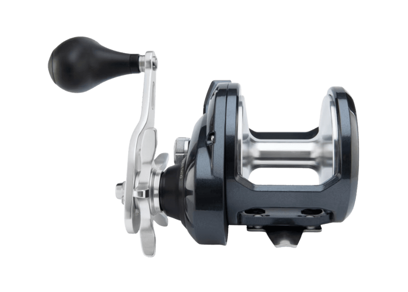 Shimano Torium A Reel - Eprofishing Egypt