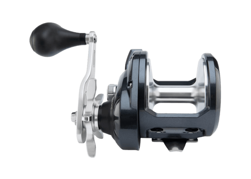 Shimano Torium A Reel - Eprofishing Egypt