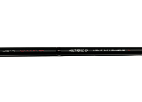 SIWEIDA CAVALRY SHORE CASTING ROD Art.2784829 / 50 - 100g / 2.9m Rod - Eprofishing Egypt