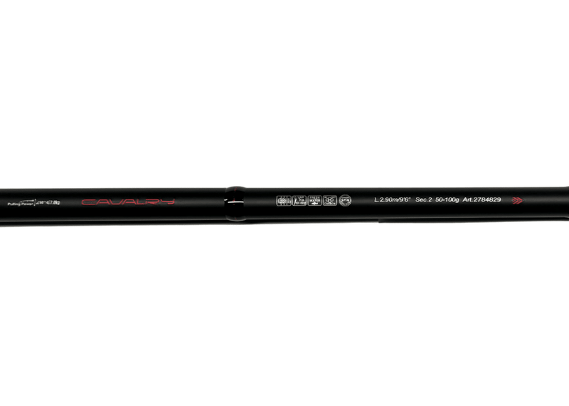 SIWEIDA CAVALRY SHORE CASTING ROD Art.2784829 / 50 - 100g / 2.9m Rod - Eprofishing Egypt