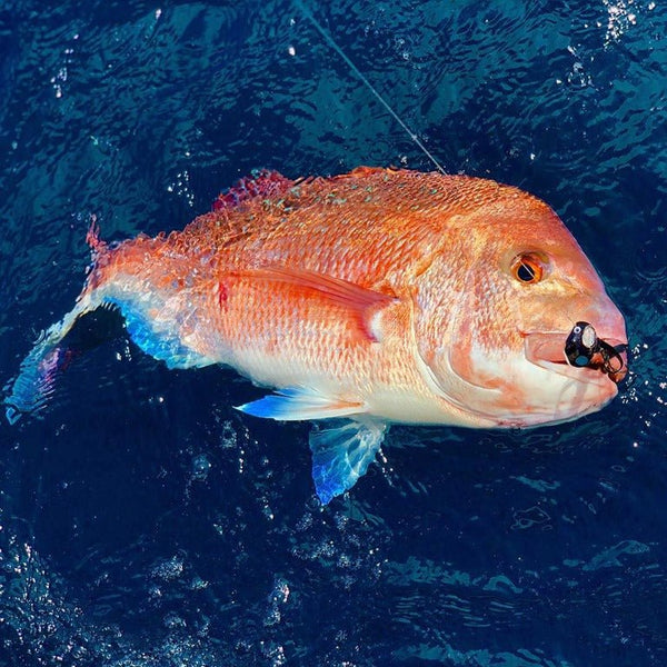 STORM DOCAN SNAPPER BALL 17.5 cm - 40 g Jigs - Eprofishing Egypt
