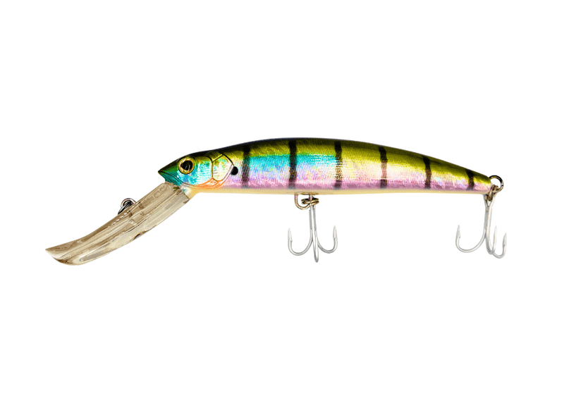 STRIKE PRO MUSKY MONSTER CL 16cm / 58g Lure - Eprofishing Egypt