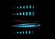 STS KOROSU JIG 180g Lure - Eprofishing Egypt