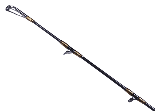 STS LEGEND x HEARTY RISE JIGGING ROD BD2S - 581S / 350 / 1.74m / spinning Rod - Eprofishing Egypt