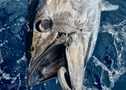 VMC 8386 - Circle Tuna 360° 3/0 - 5 Hook - Eprofishing Egypt