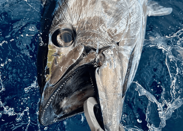 VMC 8386 - Circle Tuna 360° 3/0 - 5 Hook - Eprofishing Egypt