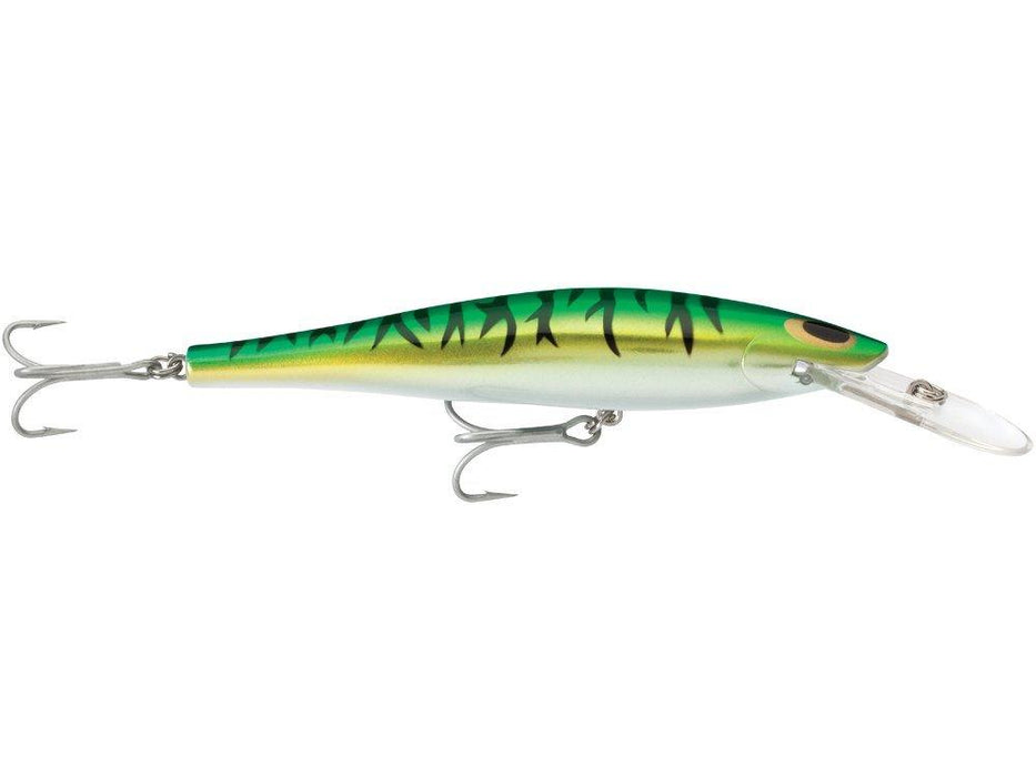 WILLIAMSON SPEED PRO DEEP 160 mm / 54 g Lures - Eprofishing Egypt