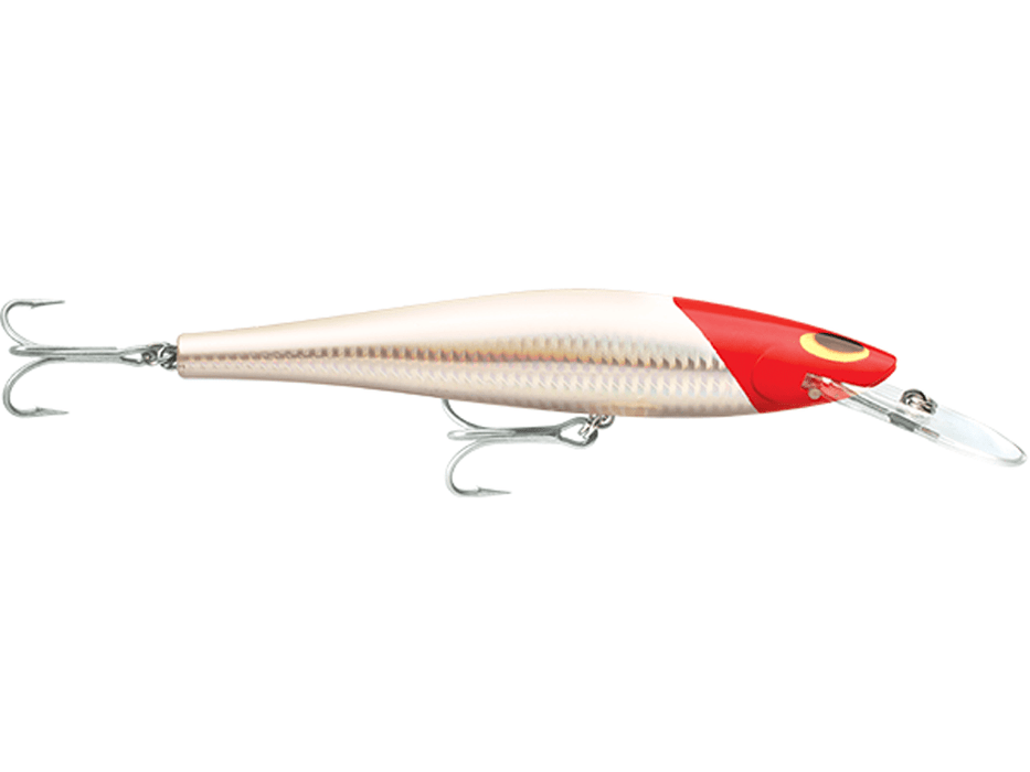 WILLIAMSON SPEED PRO DEEP 160 mm / 54 g Lures - Eprofishing Egypt